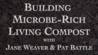 Building Microbe-Rich Living Compost Part 1