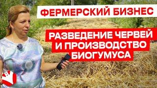 Фермерский бизнес | Разведение червей и производство биогумуса