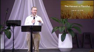 The Harvest is Plentiful (Luke 10)