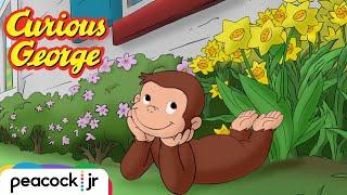 Golden Egg Hunt | CURIOUS GEORGE