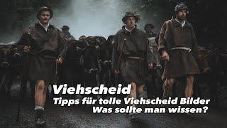 Viehscheid | Tipps für tolle Viehscheid Bilder | Was sollte man wissen?