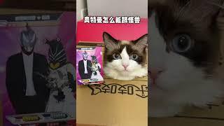 你肯定没见过这样的奥特曼！#奥特曼 #奥特曼卡片 #小猫咪的发量有多让人羡慕