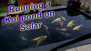 ***KOI POND ON SOLAR***POWERING YOUR KOI POND OFF THE SUN***DIY FILTER BUILDS***TESTING SOLAR DIY***