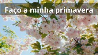 Faço a minha primavera - Momento Espírita