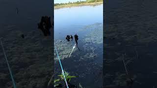 Клюёт на все удочки карась