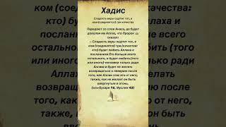 Сладость веры ощутит тот, в ком (соединятся) три качества #hadees #хадис #islam #ислам
