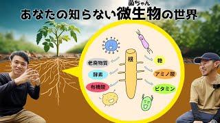 科学的に菌ちゃんを診る【科学的に楽しく有機栽培①】