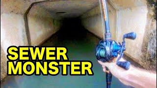 MONSTER FISH in a CITY SEWER!!!
