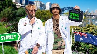 How Strong Is Sydney's Bud? % Testing How Chronic Australia