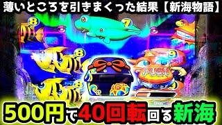 "薄い所引きすぎてしまいました…"【PA新海物語】《ぱちりす日記》甘デジ 海物語 新海