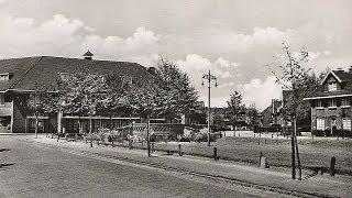 Treebeek  1950 videoband