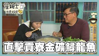 《精選詹姆士棒的 特輯》直擊貢寮金礦中的寶藏鱘龍魚 北門一甲子鰻魚三吃 東勢鵝肉產地之鄉