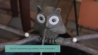 Treefolk Owl Planter Fountain