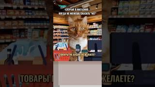 СЛУЧАЙ В МАГАЗИНЕ КОГДА НЕ МОЖЕШЬ СКАЗАТЬ "НЕТ" #котики #животные #юмор
