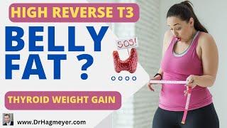 Belly Fat and Reverse T3- How Reverse T3 Causes Weight Gain