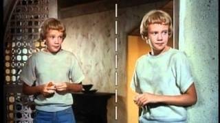 The Parent Trap - Seeing Double - split screen effects for twins Hayley Mills  (ORIGINAL from  DVD)