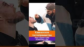 Перс кормит Арби Агрессора с рук! Кавказское гостеприимство.