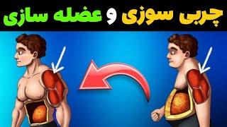 چجوری همزمان هم عضله سازی کنیم هم چربی سوزی انجام بدیم؟