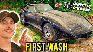 I Found a Neglected Corvette Parked 15 Years & Detailed It