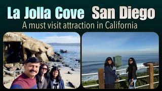 Exploring La Jolla Cove: A Perfect Day Trip from Los Angeles to San Diego| California Ep 7