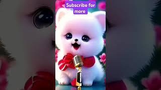 hasbi Rabbi jall #cocolemon  #cute #funny #love #cat #talkingtom #ringtone #billi #naat #catsvideo