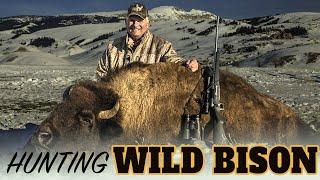 Wyoming Buffalo Hunting with Mike Eastman (Eastmans' Hunting TV)