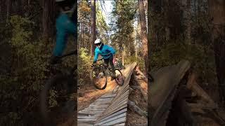 Downhill Mayhem