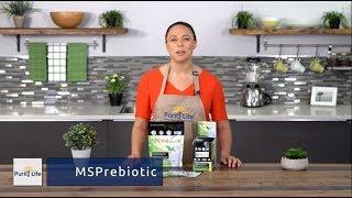 MS Prebiotic - Intro to Purity Life