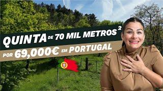 VENDIDA ESSA QUINTA DE 69 MIL EUROS EM PORTUGAL com FRUTOS E NASCENTES 