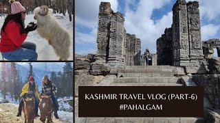 Kashmir Travel Vlog (Part-6) #Pahalgam #Martand Temple #Apple Garden #Pony Ride ️