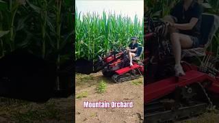 Greenhouse Orchard Management Equipment# Mountain Orchard Greenhouse Management Rotary Tiller #viral