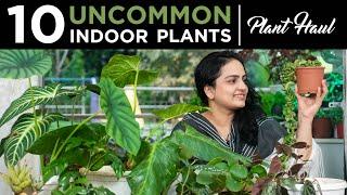 10 Uncommon Indoor Plants | Plant Haul | House plants India