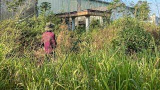 The grass was overgrown, completely obscuring the house. I helped cut the grass