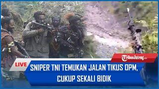 SNIPER TNI Temukan Jalan Tikus OPM, Cukup Sekali Bidik, 8 Pengacau Tumbang