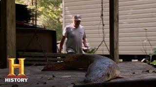 Swamp People: Junior and Theresa Catch a Garfish | History