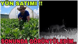 SONUNDA BAŞARDIM~GÖRÜNTÜLEDİM~NİNEM EVDE~BAHÇEYE NE OLMUŞ BÖYLE !