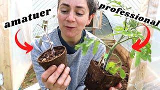 First Time Gardening  In The Cattle Panel Greenhouse (Vlog)