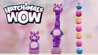 Hatchimals WOW! You Won’t Believe How Tall She Grows!