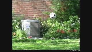 2004 Carrier Air Condition Commercial | Talking AC Unit