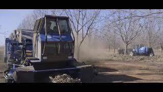 Weiss McNair Orchard Rite Pecan Harvest