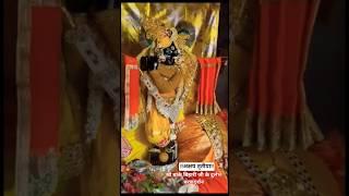 SRI BAKE BIHARI JI KE DURLABH CHARAN DARSHAN #trending #bhakti #radha #shyam #vrindavan 