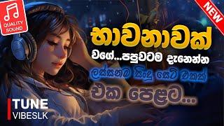 මනෝපාරකට සුපිරිම සින්දු | Manoparakata | Best Sinhala Songs Collection