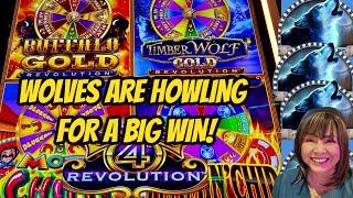 TIMBER WOLF HUGE WIN IS A WONDER 4 ME!