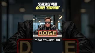 도지코인 폭등 숨겨진 '진짜이유'