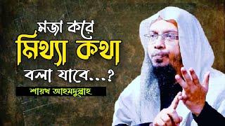 মজা করে মিথ্যা কথা বলা যাবে কি? শায়খ আহমদুল্লাহ | Sheikh Ahmadullah