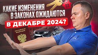 Новые законы с декабря 2024: увеличение пенсии, списание долгов для участников СВО.