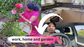 UK HOME GARDEN VLOG ||ROSE PLANT CARE IN TAMIL || englandthamizhachi