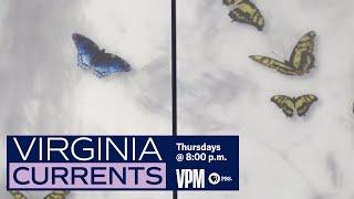 Virginia Currents: VA Treatment Center For Children