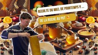 Récolte du miel de Printemps : De la Ruche au Pot [S02E13]