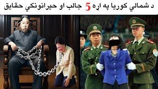 Top 5 Interesting Facts about North Korea in Pashto || Informative Pashtoon